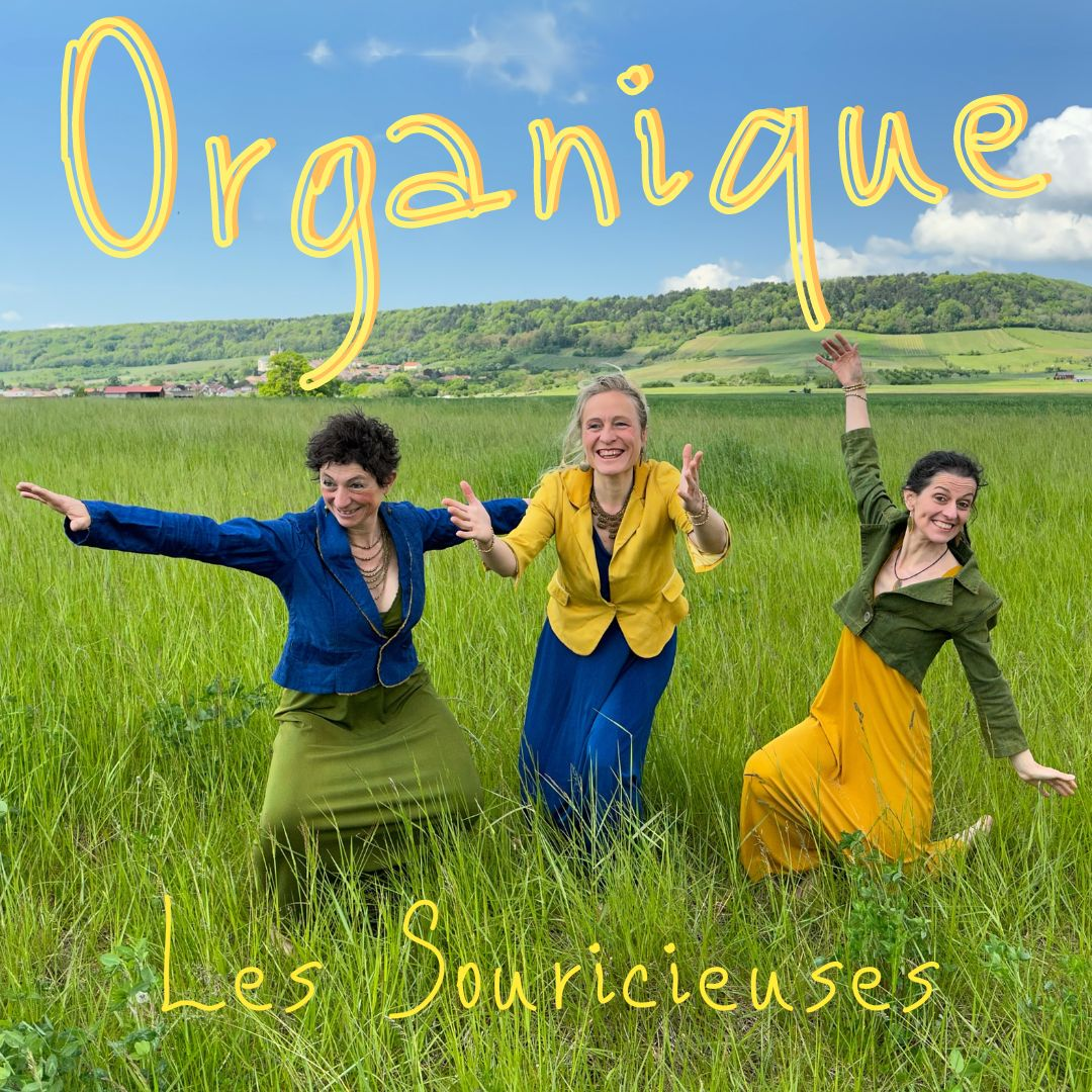 pochette album Organique